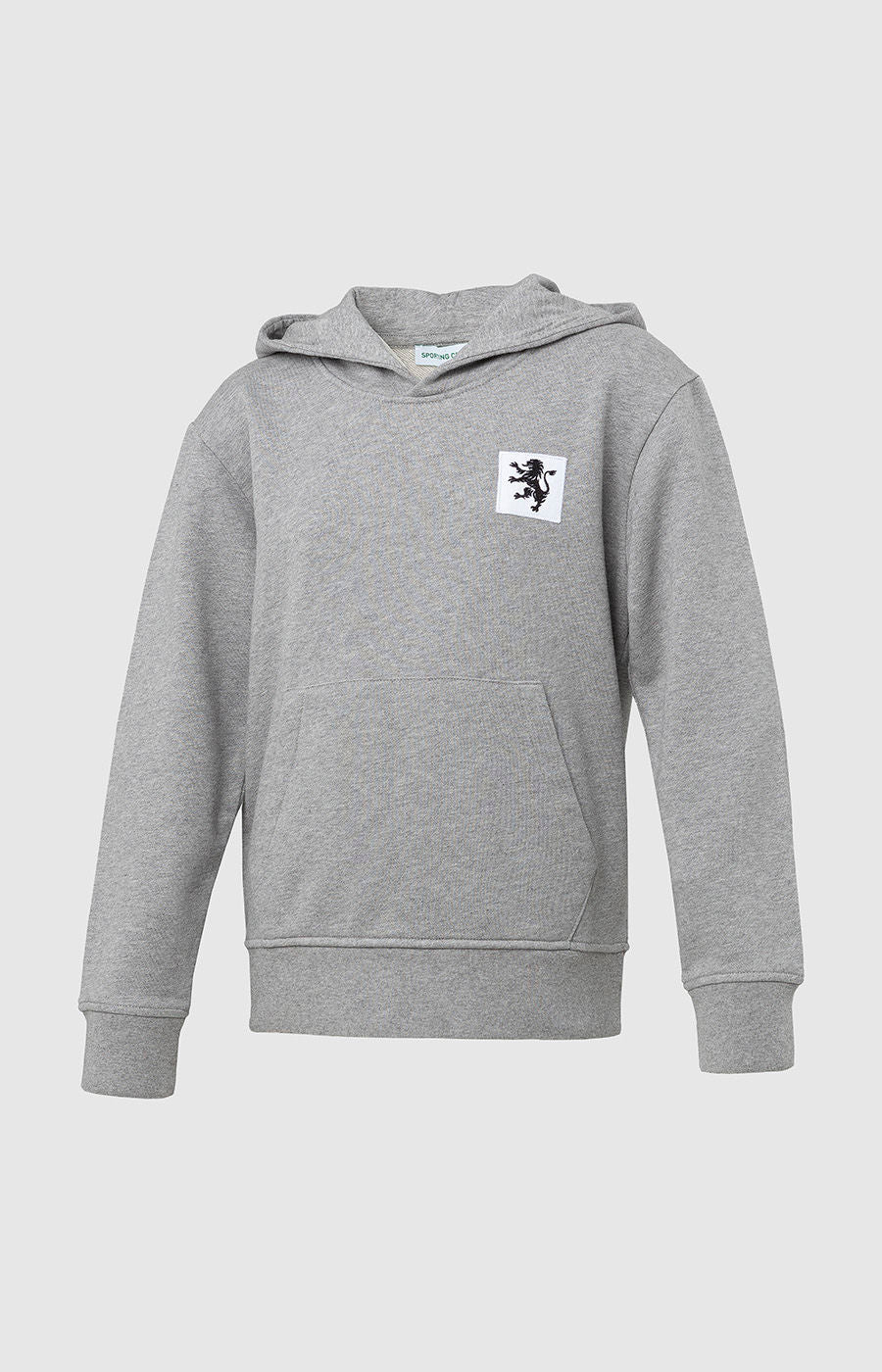 HOODIE LION FUSE GRAY 3/4-C MNO 2324-MP11289PT