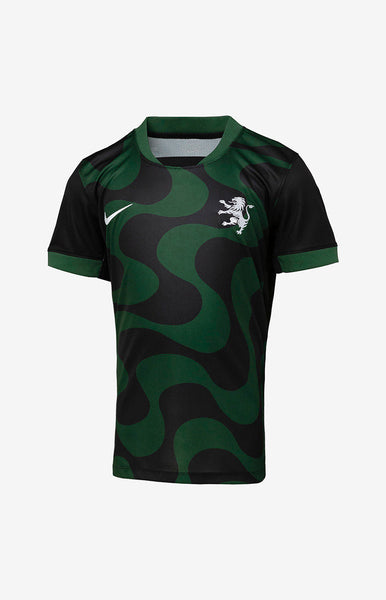 0013438_camisola-alternativa-