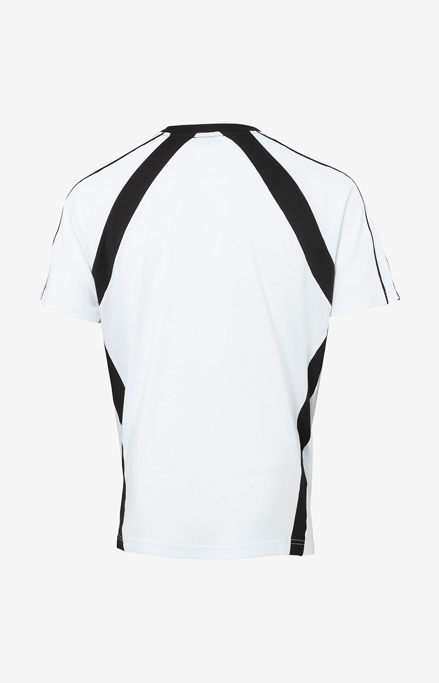 Camiseta «Born a Lion» (2)