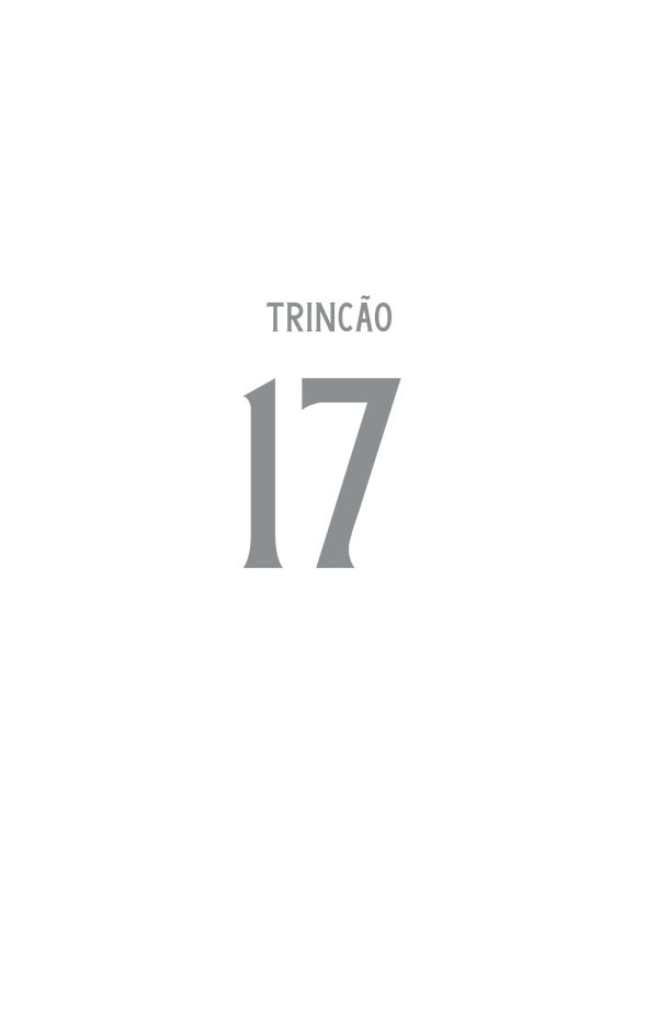 TRINCÃO n° 17