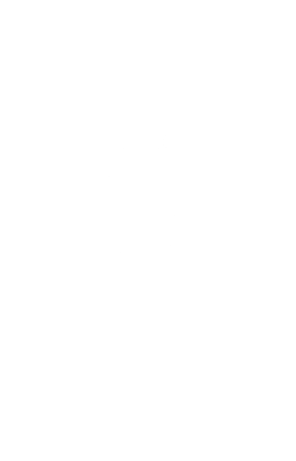 S. FAYE n° 15