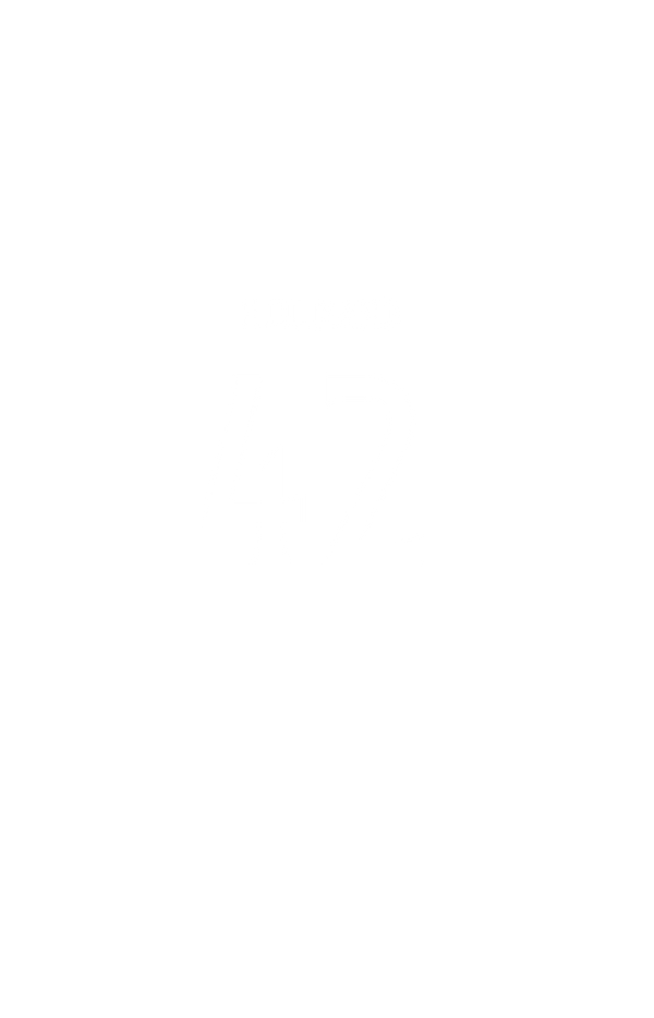 HJULMAND #42