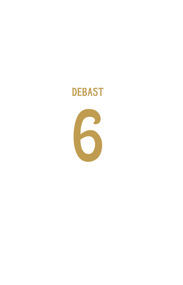 DEBAST n° 6