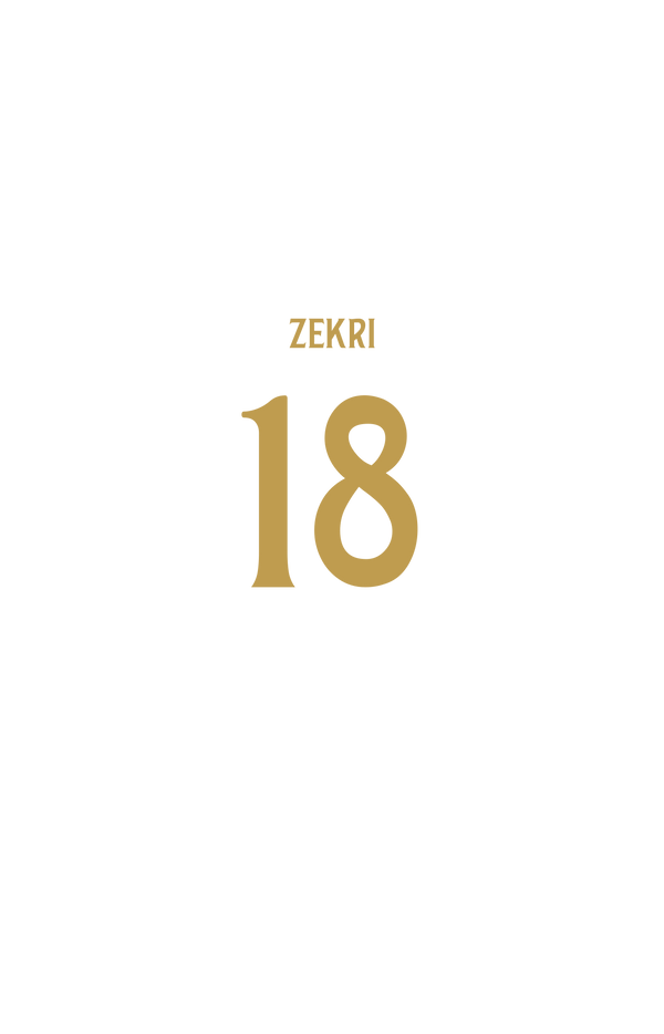 M. ZEKRI #18