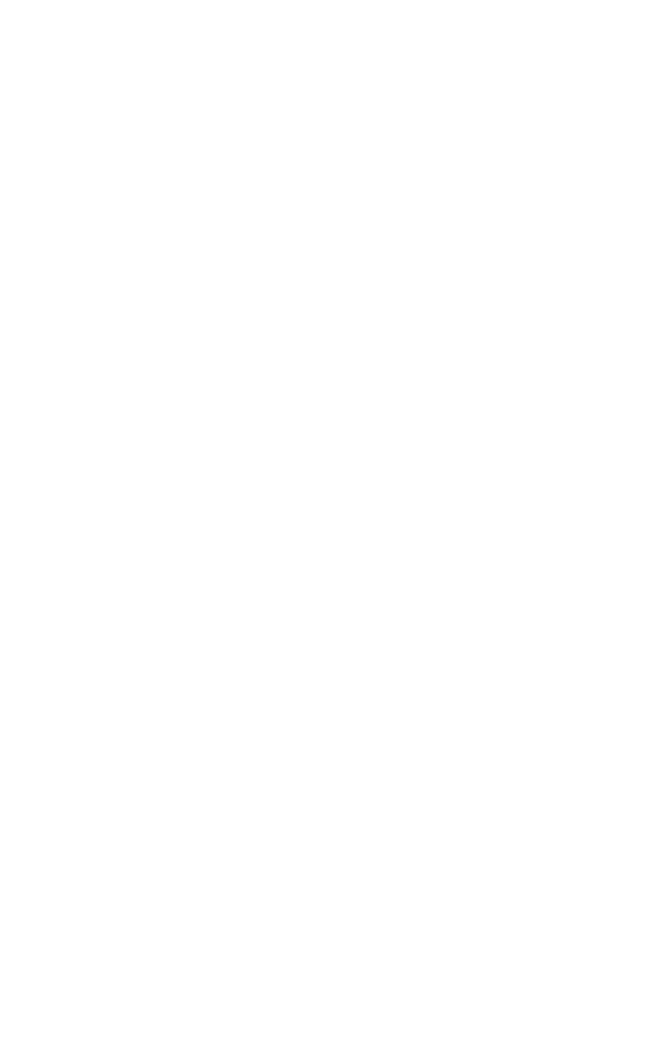 RUI SILVA #1