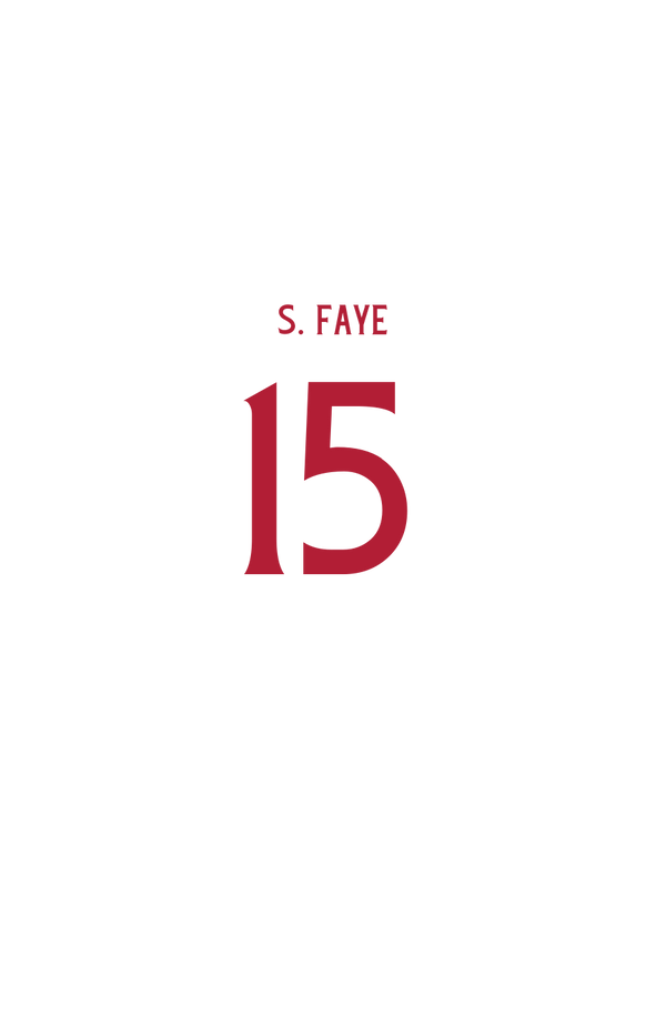 S. FAYE n° 15