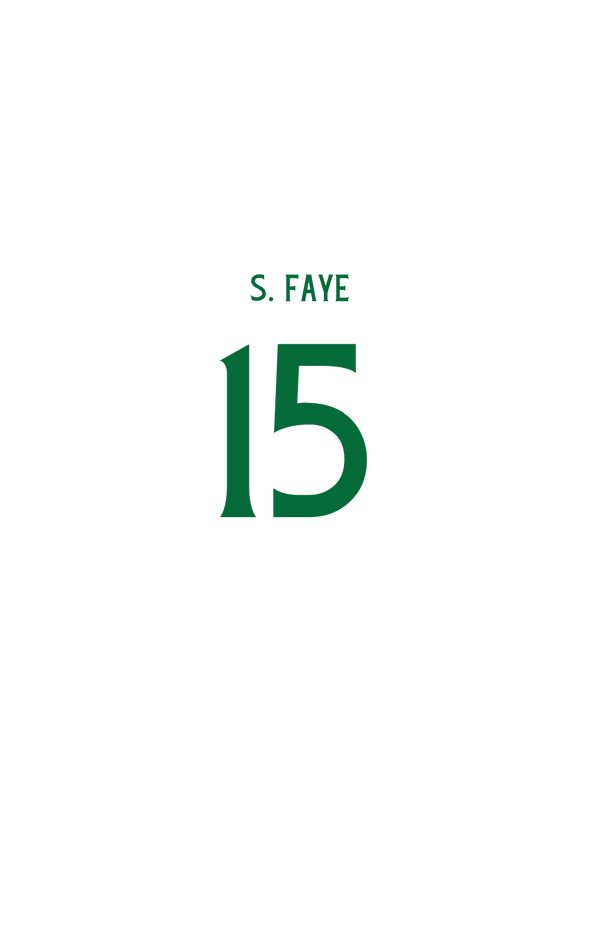 S. FAYE n° 15
