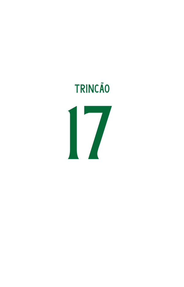 TRINCÃO n° 17